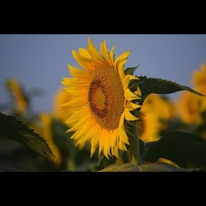 Meet your Posher, Vicki